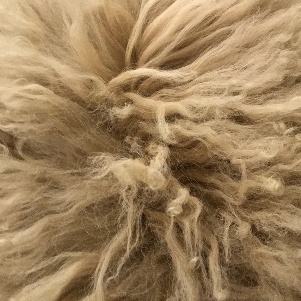 Meet your Posher, Mariam